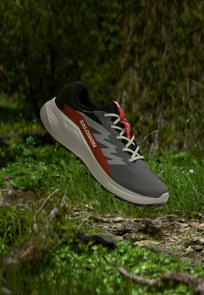 Salomon ALPHAGLIDE GTX