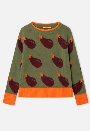 Pull tricoté en vert avec des motifs aubergine en violet foncé, avec un col et un ourlet côtelés orange. Manches longues et coupe décontractée.