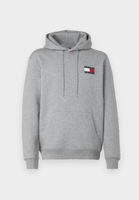 REG ESSENTIAL FLAG EXT - Sportinis megztinis - grey