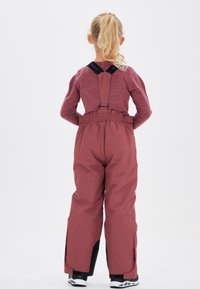 ZIGZAG Skibroek - berry