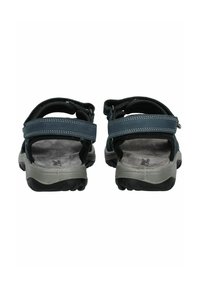 Rückansicht von Outdoor-Sandalen mit grauen und blauen Riemen, verstellbaren Verschlüssen, gepolsterten Innensohlen und schwarzem strukturiertem Gummisohlen.