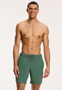 Shiwi - STRETCH MIKE - Shorts da mare - cilantro green Immagine in miniatura 1