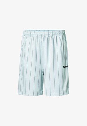 Light blue athletic shorts with vertical dark stripes, an elastic waistband, and a small black logo on the lower left. Soft, smooth fabric.