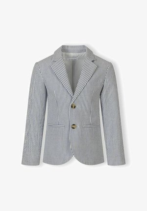 Blue and white vertically striped blazer with notch lapels, two front buttons, and welt pockets, displayed on flat white background.