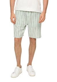 Hellgrüne Shorts mit vertikalen blauen Streifen, elastischem Bund mit Kordelzug und weichem Stoff. Kombiniert mit weißen Sneakers. Einfaches und lässiges Design.
