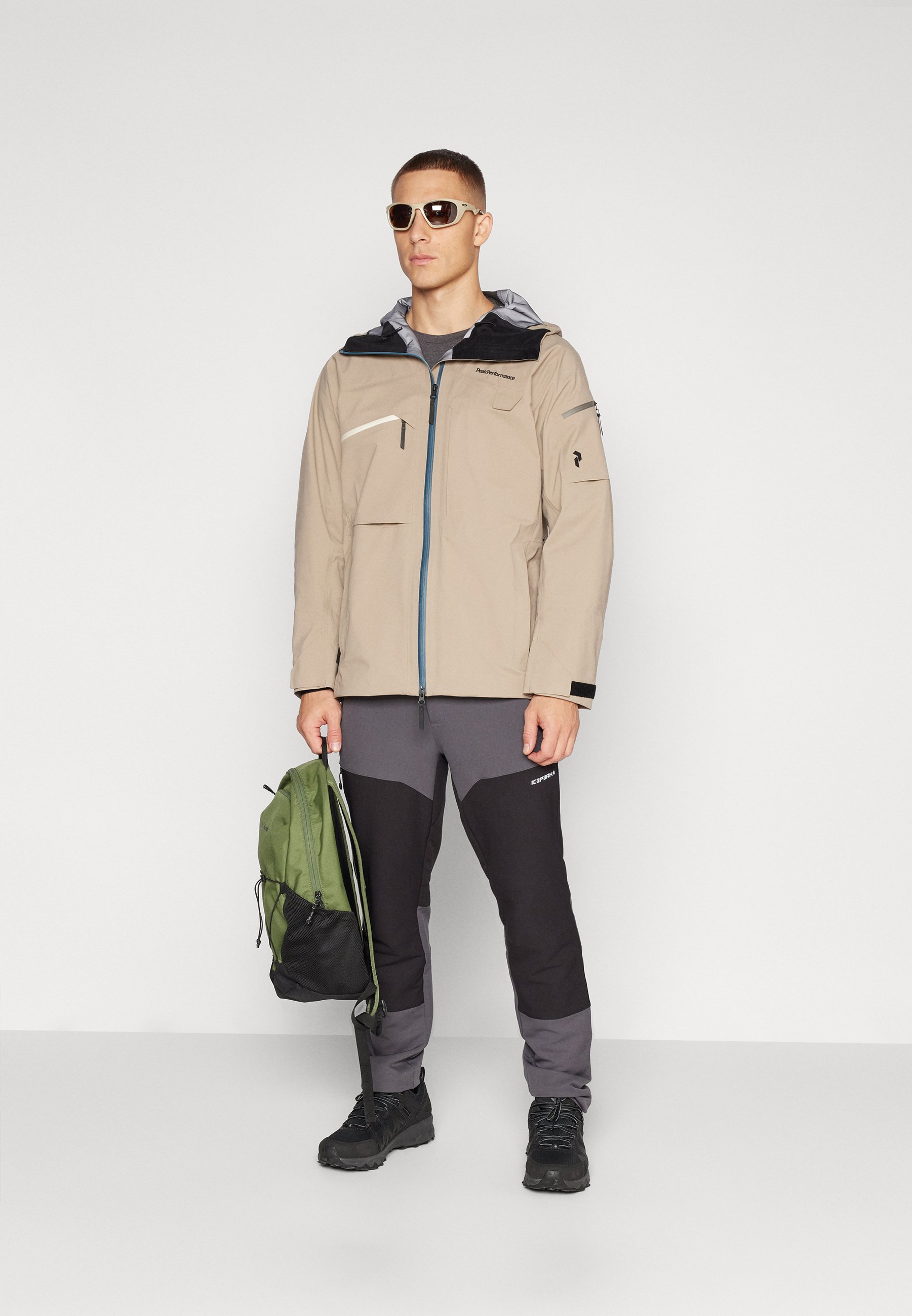 Peak Performance ALPINE GORE-TEX JACKET - Ski jacket - avid