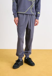 Puma BMW MMS ESS  - Tréningruha alsók - galactic gray