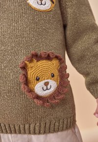 Olijfgroen gebreid sweater met een geborduurd leeuwmotief, een gele kop en een bruine manen, en een gestructureerde ribbels boord en mouwen.