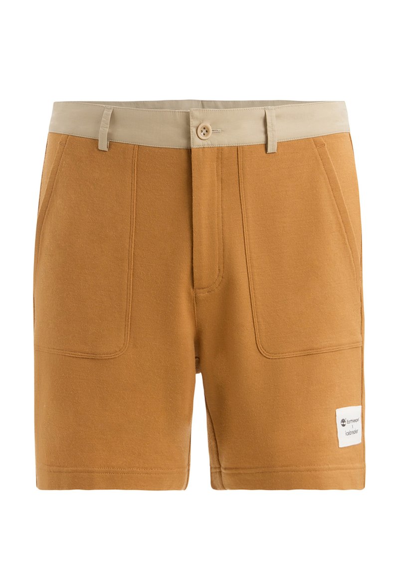 Icebreaker Shorts bruin