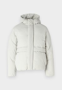 BOLTON  - Žieminė striukė - light grey