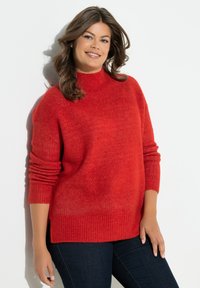 Roter Pullover mit hohem Kragen aus weichem, strukturiertem Stoff; hat große Bündchen und eine lockere Passform, wird über dunkelblauen Jeans vor einem weißen Hintergrund getragen.