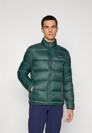 BROOKFIELD PADDED JACKET - Winterjacke - evergreen