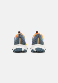 Saucony RIDE TR2 - Terepfutó cipők - oak/mirage