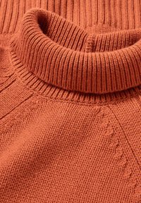 Gestrickter Pullover in rostfarbener Farbe mit einem gerippten Rollkragen. Verfügt über eine strukturierte Stickerei und einen lässigen Schnitt. Das Material wirkt weich und warm.
