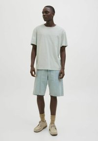 Hele roheline puuvillane t-särk, lahti lõige. Hele sinine denim lühikesed püksid, põlvekohale ulatuvad. Beežid kingad paeltega ja pruunid sokid. Minimalistlik stiil.