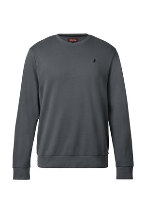 Sudadera gris de manga larga, con cuello redondo, puños y dobladillo acanalados, que presenta un pequeño logo en el pecho. Fabricada en una tela suave.