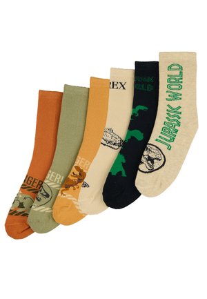 SET 6 PAAR - Socks - mehrfarbig