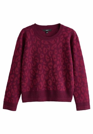 Femme portant un pull imprimé léopard bordeaux, une jupe midi en cuir marron foncé taille haute et des talons noirs à bride à la cheville, debout devant un fond uni.