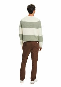 Uomo con pullover a righe verdi e bianche, pantaloni marroni e sneakers bianche, in piedi di spalle su uno sfondo bianco.
