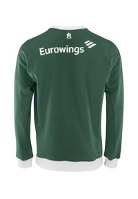 Grüner Pullover mit weißen Akzenten und "Eurowings"-Logo auf dem Rücken, mit Rundhalsausschnitt und langen Ärmeln.