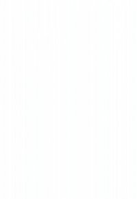 Két kutya, egy fehér és egy szürke, nyakörvet és pórázt viselve, kavicsos ösvényen sétál, zöld növényzet mellett.