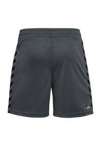 Donkergrijze sportshorts met een elastische tailleband, uitgerust met zwarte en blauwe diagonale strepen aan de zijkanten en een logo rechts onderaan.