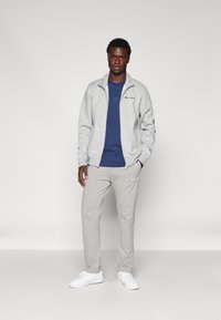 Champion ICONS FULL ZIP COLLAR - Sudadera con cremallera - grey
