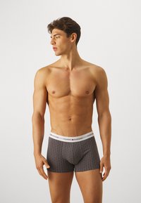 Tommy Hilfiger SIGNATURE 3P TRUNK PRINT - Boxers - blue ink/grid flag/iris blue