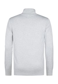 Maglione grigio a maniche lunghe con collo alto, caratterizzato da una texture liscia e morbida e polsini a costine. Vista posteriore senza alcun motivo.