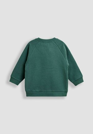 Grüne Sweatshirt mit Raglanärmeln, gerippten Bündchen und Saum. Weiche Textur mit glatter Oberfläche. Keine Taschen oder zusätzlichen Verzierungen.