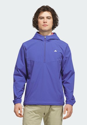 Junger Mann mit lockigem Haar, trägt eine blaue Adidas Kapuzenpulloverjacke und beige Hose, steht vor einem einfarbigen Hintergrund.
