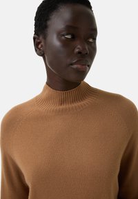 Brown high-neck sweater made of soft fabric, featuring ribbed collar and shoulder seams, with a relaxed fit and smooth texture.