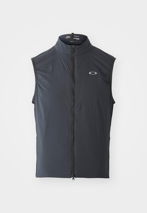 Gilet senza maniche, tessuto grigio scuro, colletto alto, zip frontale completa, logo sul petto, design elegante con superficie liscia e senza tasche.