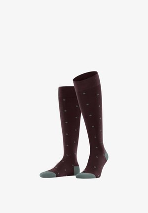 Calze fino al ginocchio in bordeaux intenso con pois azzurri; presentano una fascia superiore a coste e dettagli a contrasto in azzurro chiaro su punta e tallone.