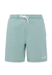 Lichtblauwe sweatshorts met een trekkoord in de taille, zijzakken en een klein wit logo. Zachte stof, rechte snit, knielange ontwerp.