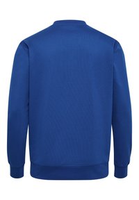 Blå sweatshirt med ribbad yta, långa ärmar och rund halsringning. Bakifrån är den enfärgad utan logotyper eller mönster.