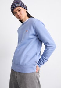 Light blue sweatshirt with ribbed cuffs and hem, featuring a small logo on the chest. Model wears a multicolored knit beanie.