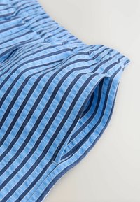 Short Rayé Bleu Clair Pour Garçon - Marque Next, Taille 11 Ans, Occasion Très Bon état
