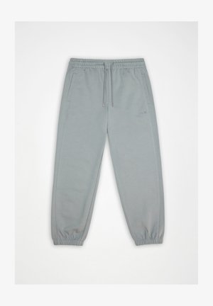 Šviesiai pilkos spalvos sportinės kelnės su elastine juosmens juosta ir apačia, šoninėmis kišenėmis bei raišteliu, išdėstytos ant baltos fono.