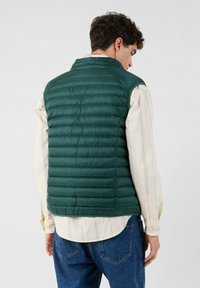 Gilet imbottito verde con texture trapuntata, design senza maniche, collo alto e materiale in nylon, indossato sopra una camicia a maniche lunghe di colore chiaro.