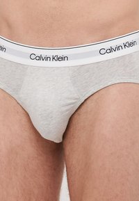 Slip in cotone grigio con un elastico bianco in vita riportante il logo nero "Calvin Klein". Il design è aderente e presenta una superficie liscia.