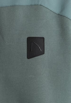 CHASIN' LION MIX - Zip-up sweatshirt - green