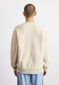 Lichtbeige, sweatshirt met lange mouwen en een ontspannen pasvorm, ribgebreide manchetten en zoom. Fluweelachtige textuur, minimale stikdetails. Geen grafische afbeeldingen of patronen.