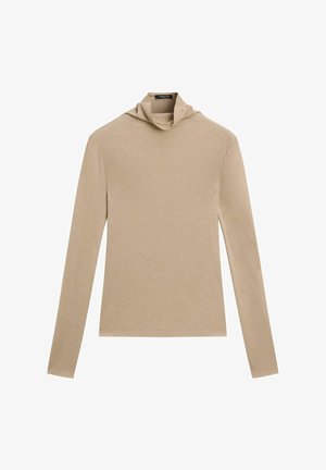 Beige långärmad topp med en krage, tillverkad av ett mjukt, slätt tyg. Enkelt design utan mönster eller ytterligare detaljer.