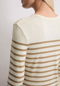 Persoon in een crèmekleurig en tan gestreept langoeve shirt, gezien vanaf de achterkant en schouders met een neutrale achtergrond.