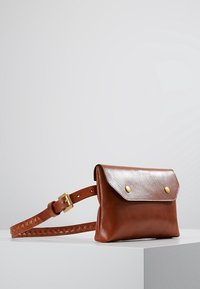 Borsa a tracolla in pelle marrone con finitura opaca, forma rettangolare, chiusura a pattina e hardware dorato su una tracolla testurizzata.