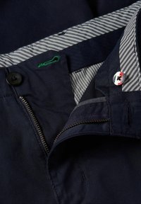 Tommy Hilfiger HARLEM  - Šortai - marine