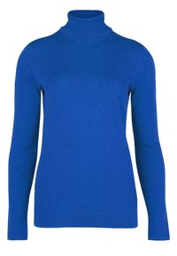 Pull en col roulé bleu en maille douce. Présente des manches longues, une silhouette ajustée et une bordure côtelée au niveau du col et des poignets.