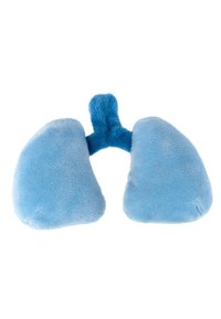 Blue plush lung model featuring soft, textured fabric. The design includes two rounded lobes and a central connector.