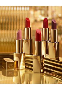 ESTÉE LAUDER PURE COLOR MATTE LIPSTICK - Leppestift - fiercely
